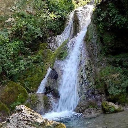 Gesztenyes *